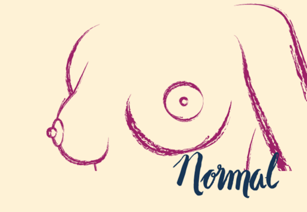 Mamilo normal