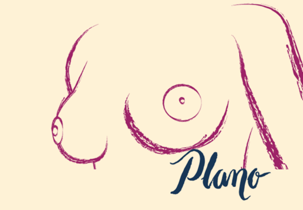 Mamilo plano