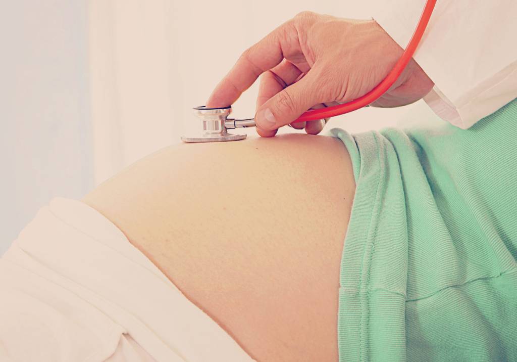 Aula 2 – As transformações na primeira metade da gravidez