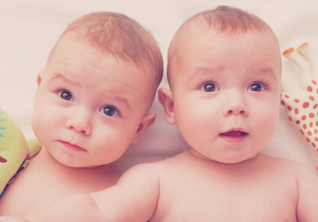 Aula 4 – A gravidez de gêmeos