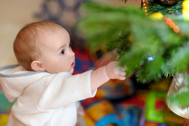 Bebê mexendo na árvore de Natal