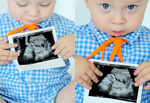 A família vai aumentar III A família vai aumentar III