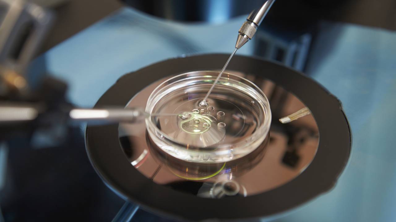 Placa de vidro de laboratório com substância sendo manipulada por agulha.