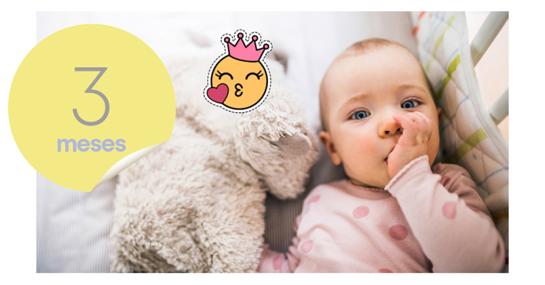 O desenvolvimento do bebê de 3 meses | Bebe.com.br