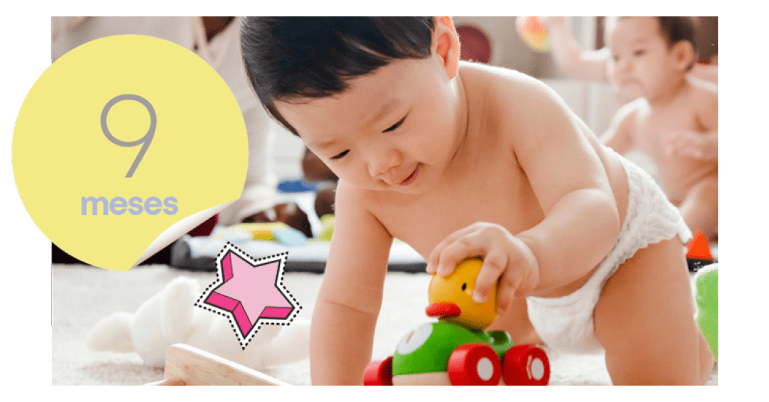 O desenvolvimento do bebê de 9 meses | Bebe.com.br