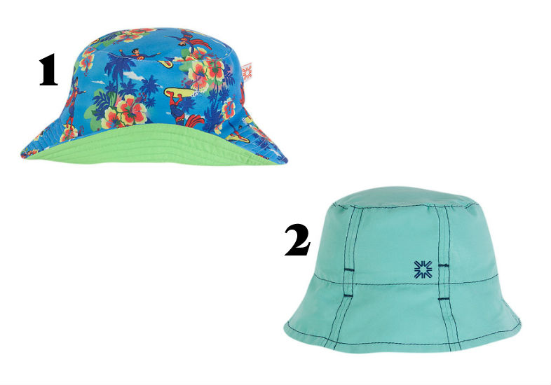 Divulga&ccedil;&atilde;o