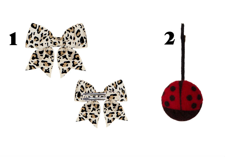 Divulga&ccedil;&atilde;o