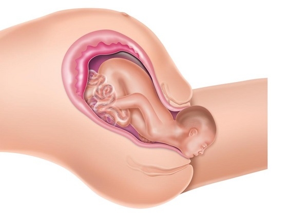 3ª fase: dequitação 3ª fase: dequitação