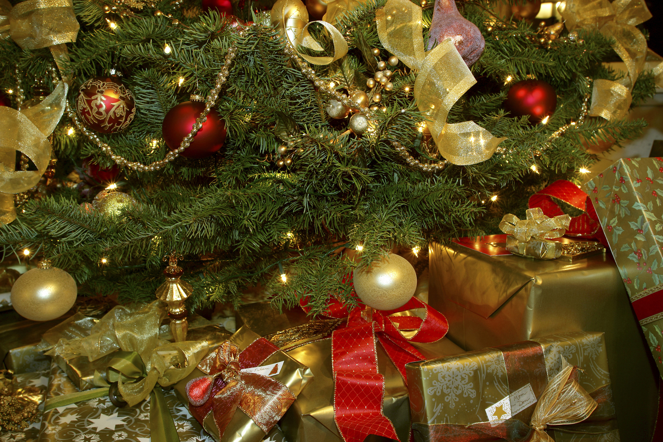 8 formas de surpreender a criança ao entregar o presente de Natal | 8 formas de surpreender a criança ao entregar o presente de Natal |