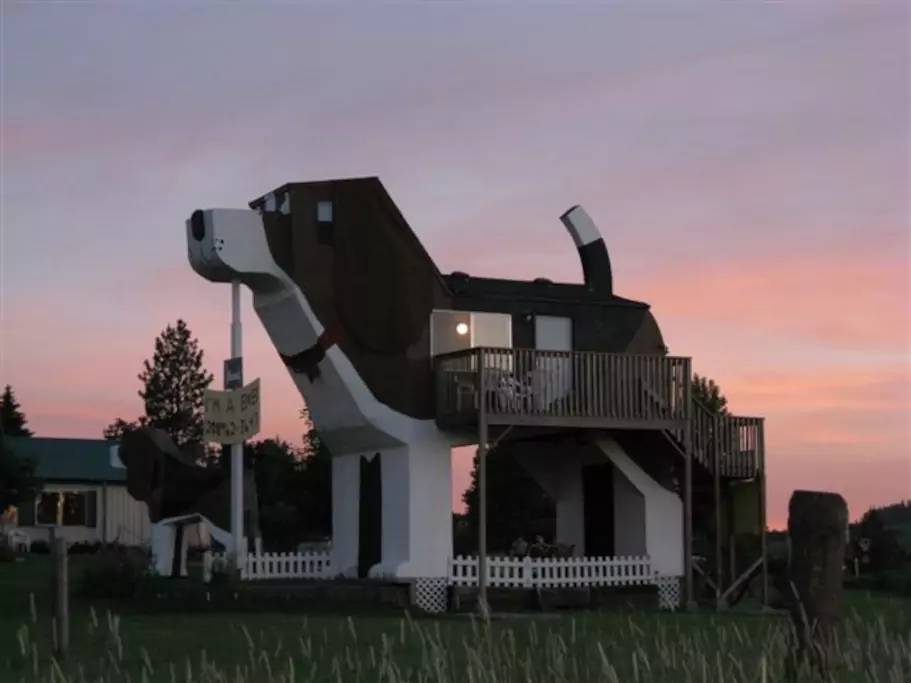 casa-de-cachorro-1