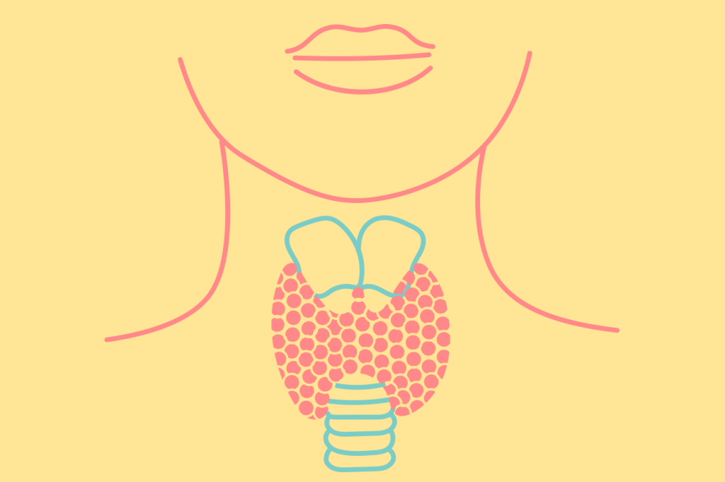 Entenda como a tireoide pode afetar sua fertilidade