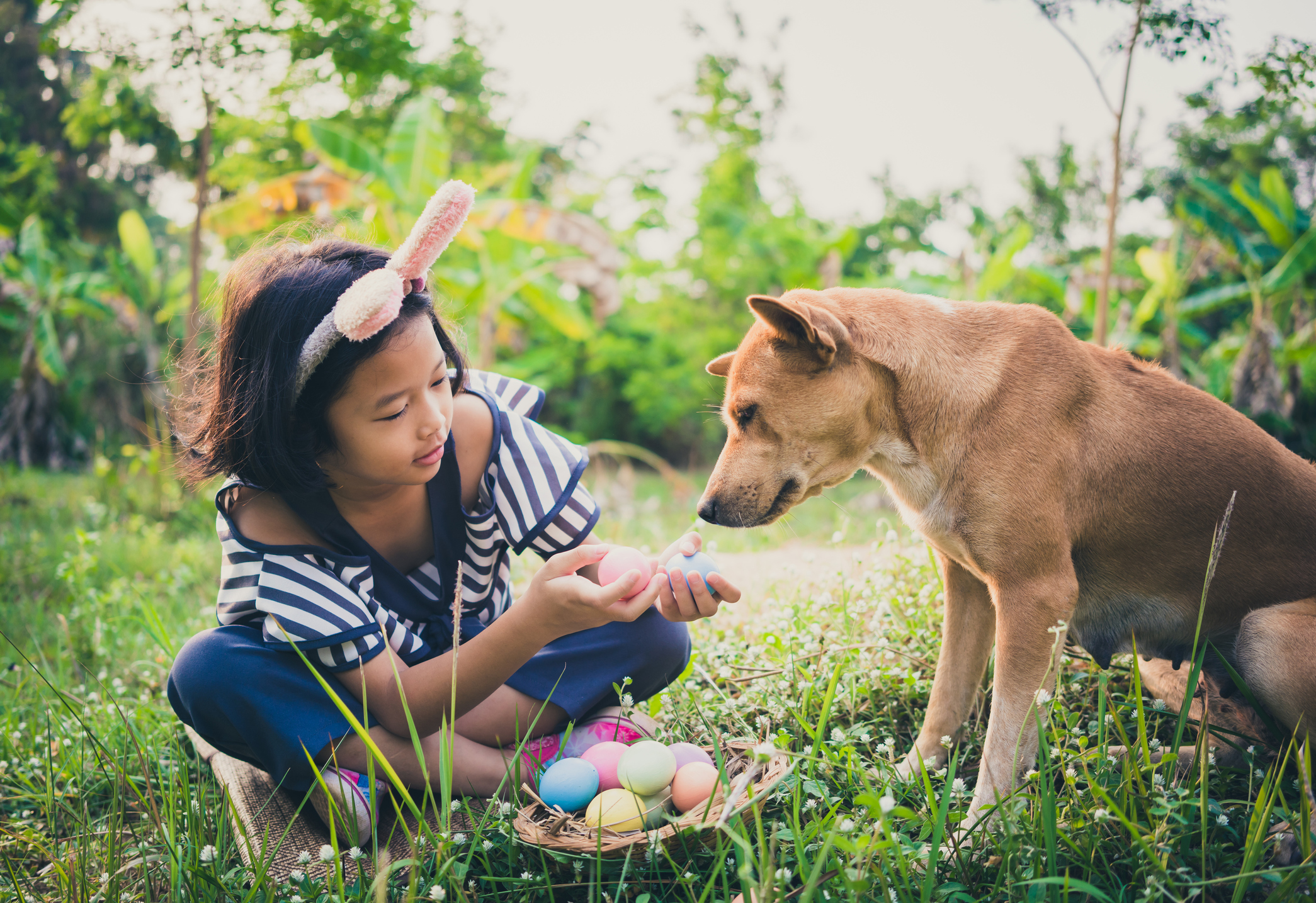 Menina brincando com cachorro caçando ovos de páscoa