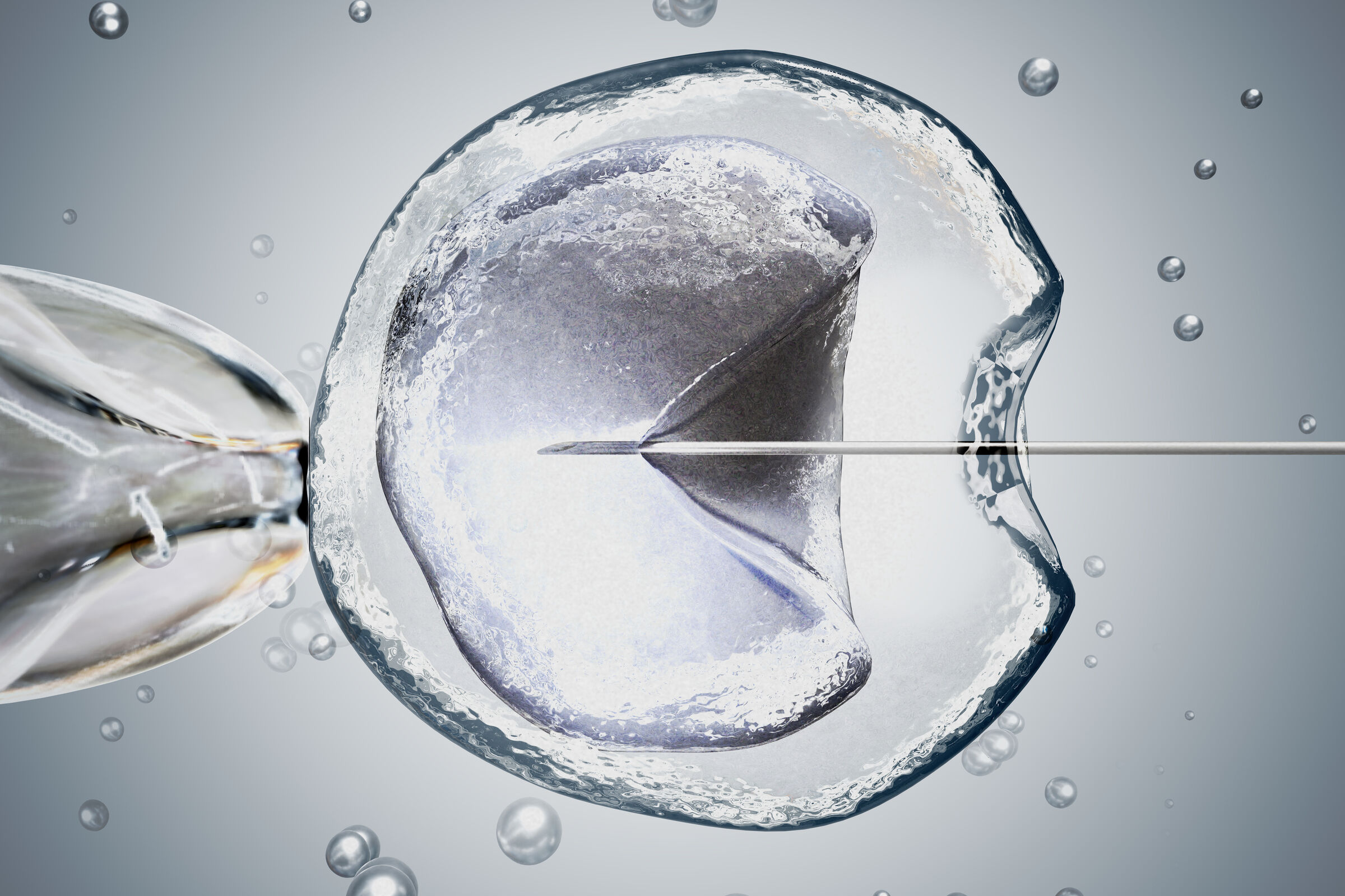 Como é a seleção de embriões em casos de fertilização in vitro | Bebe.com.br