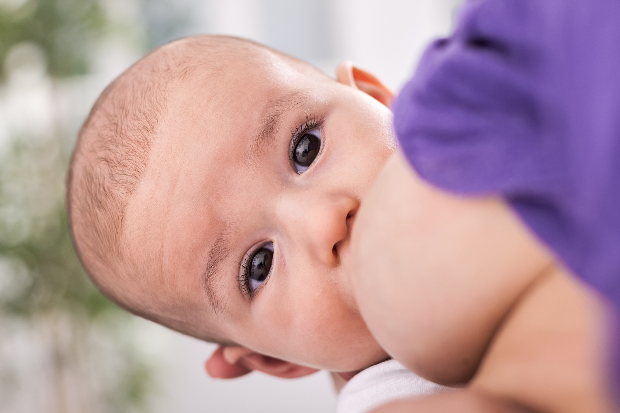 Bebê que mama é adulto saudável: 5 benefícios a longo prazo da