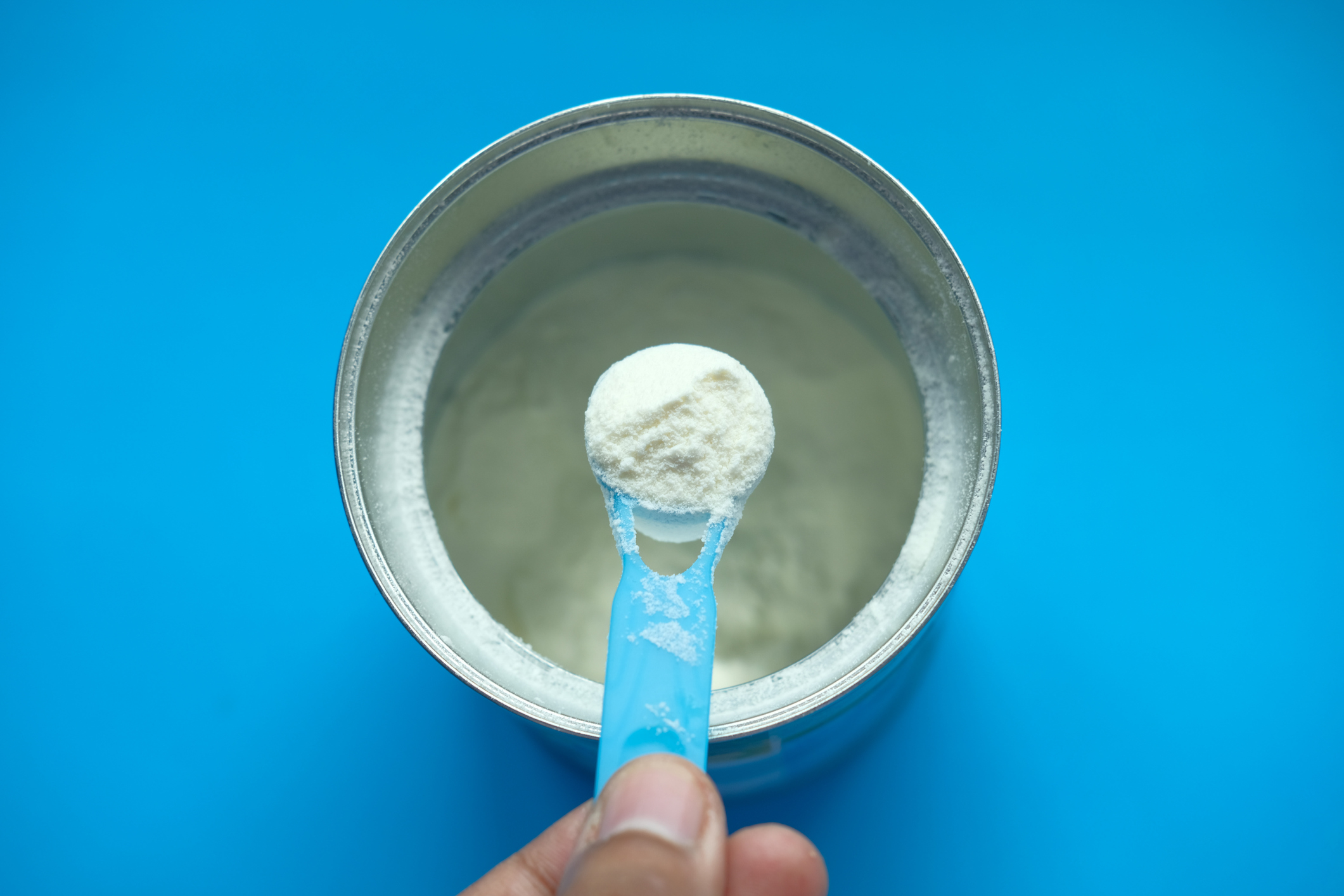 lata de fórmula ou leite em pó aberta sobre fundo azul. Uma mão segura uma colher medidora com o pó dentro.
