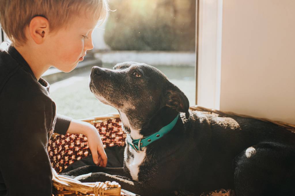 Como contar para o meu filho que o bichinho de estimação morreu?