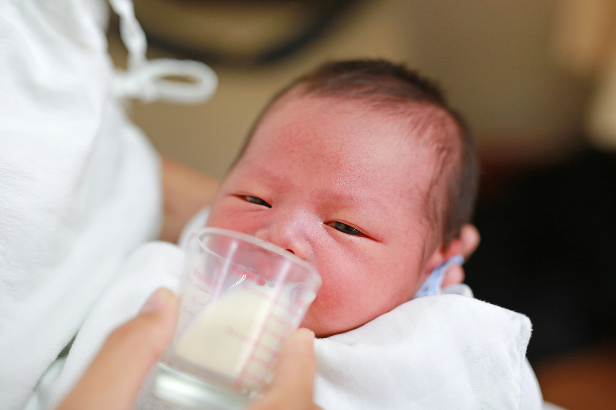 Recém-nascido-recebendo-leite-no-copinho-de-vidro