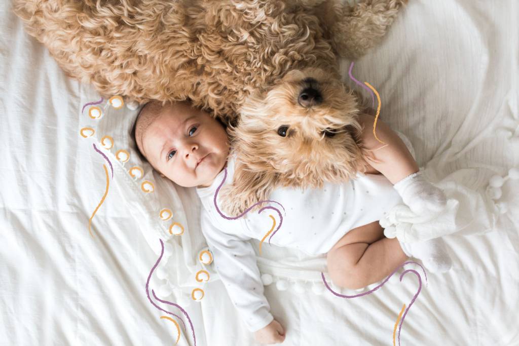 Como ajudar seu pet a lidar com a chegada de um bebê na família