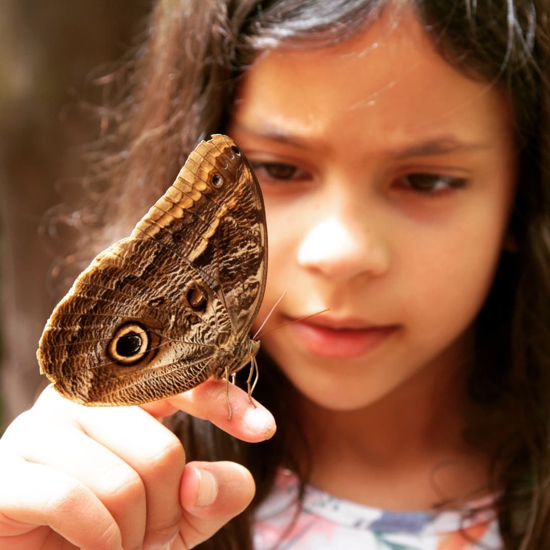 Na foto, uma menina está com uma borboleta marrom pousada em seu dedo indicador.