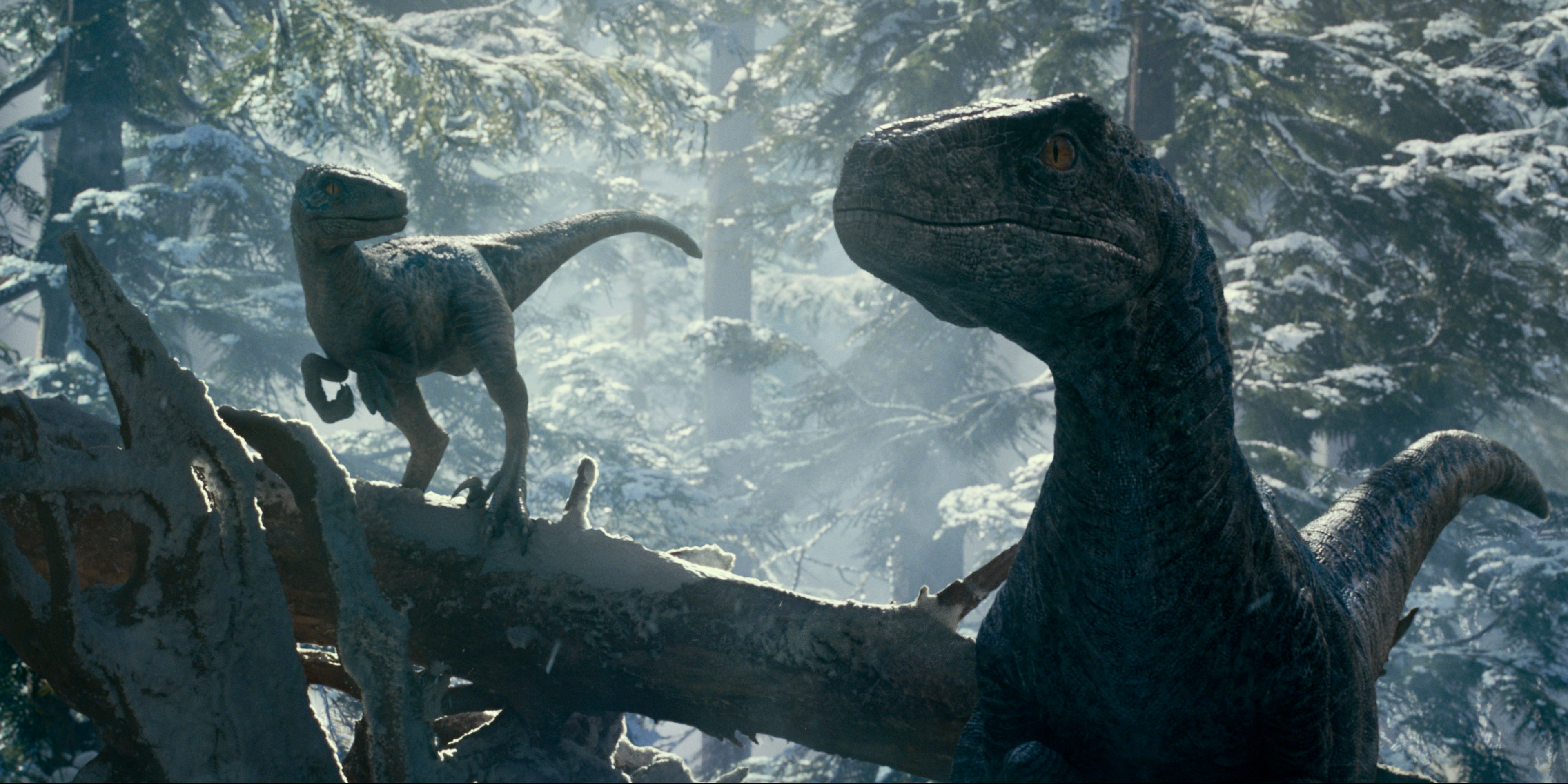 Cena do filme Jurassic World. Velociraptors.