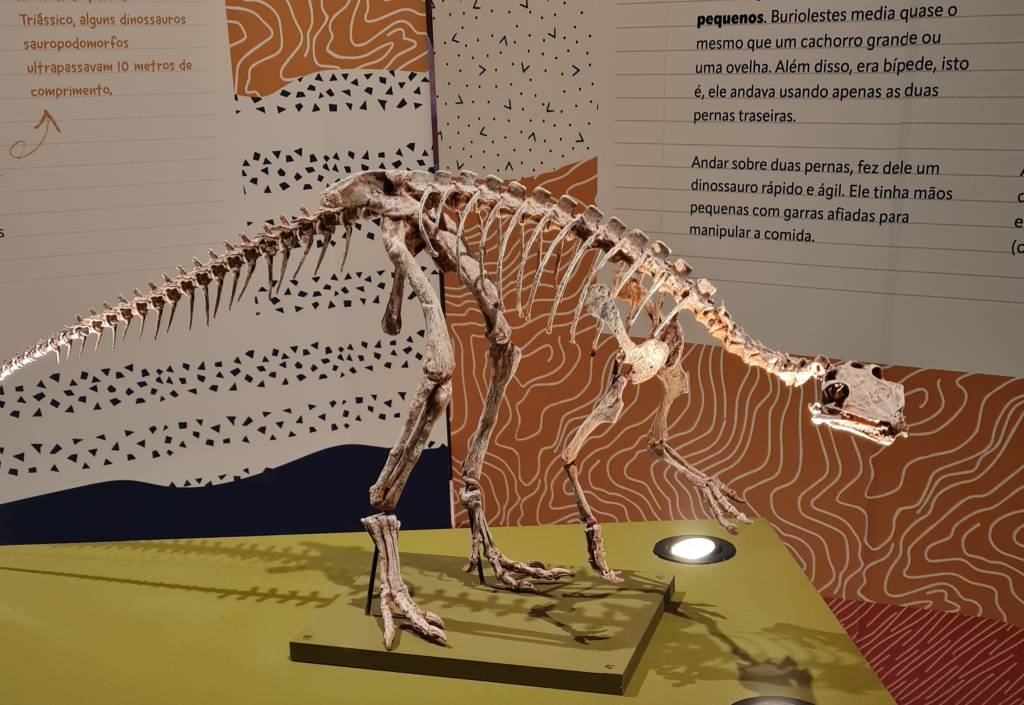 patagotitan expo patagotitan expo