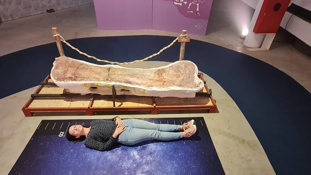 Patagotitan exposição Patagotitan exposição