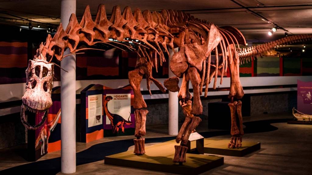 patagotitan patagotitan