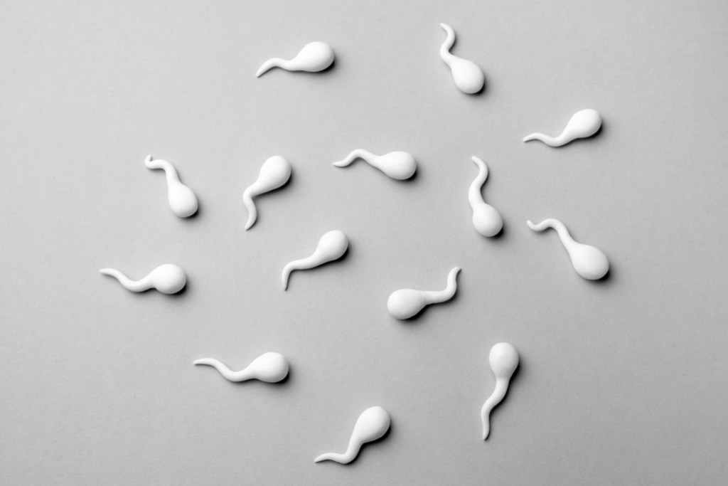 Quantidade de espermatozóides nos homens vem reduzindo, diz estudo