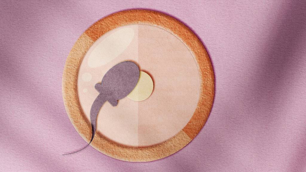 Ilustração de um espermatozoide fecundando um óvulo