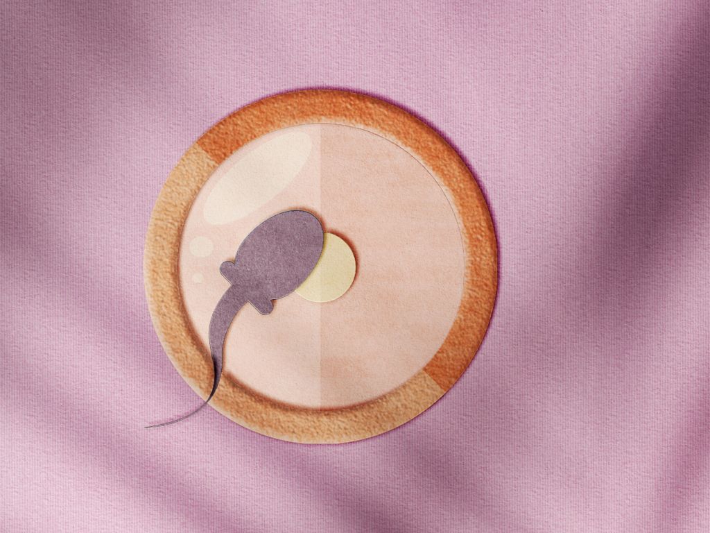 Ilustração de um espermatozoide fecundando um óvulo