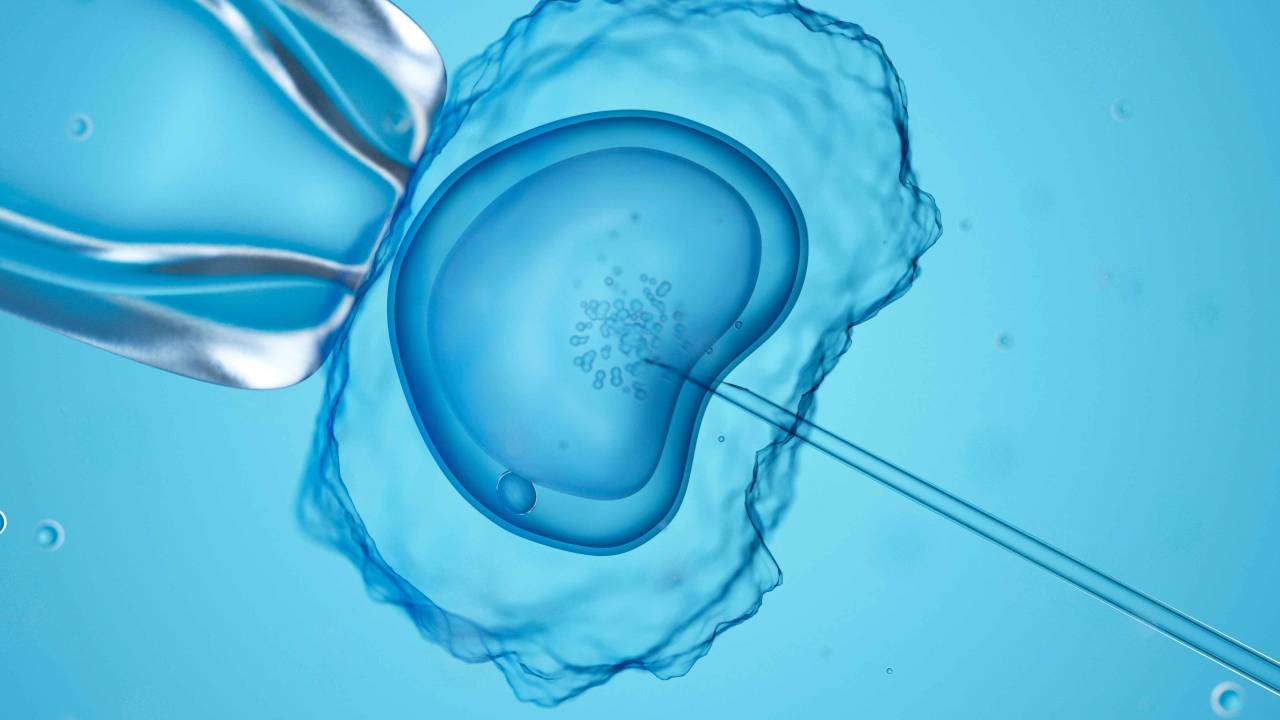 Imagem de um óvulo sendo fertilizado. Imagens transparentes em fundo azul