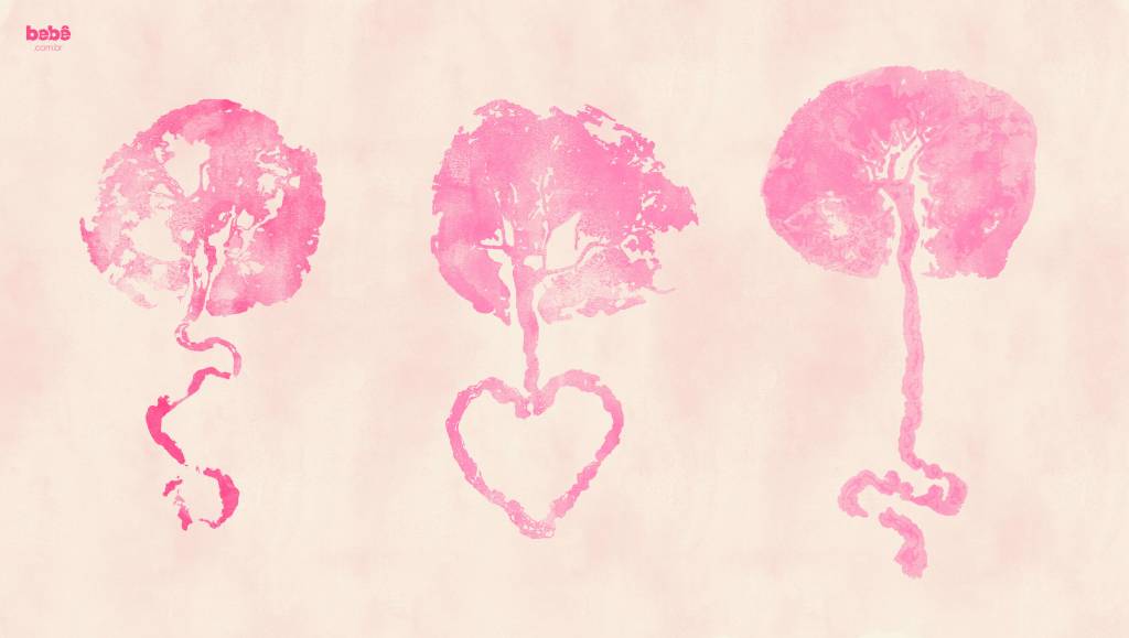 O que é o carimbo de placenta e como fazer a sua “árvore da vida”