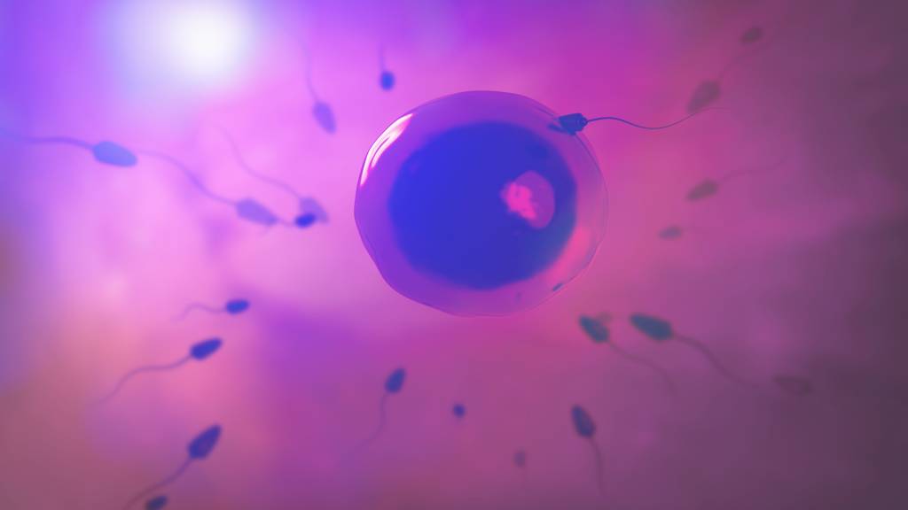 Reserva ovariana reduzida? Descubra a relação com o TEPT e estresse