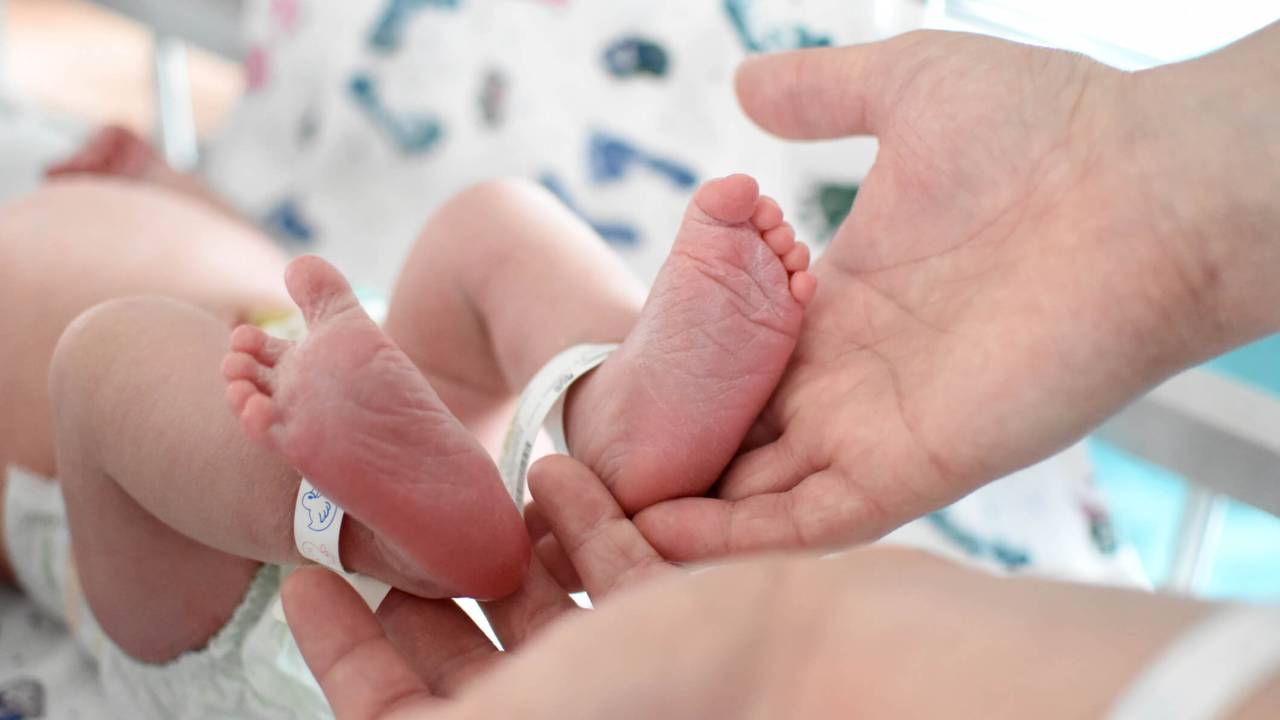 pezinhos do recém-nascido com identificação do hospital apoiados em mãos de adultos