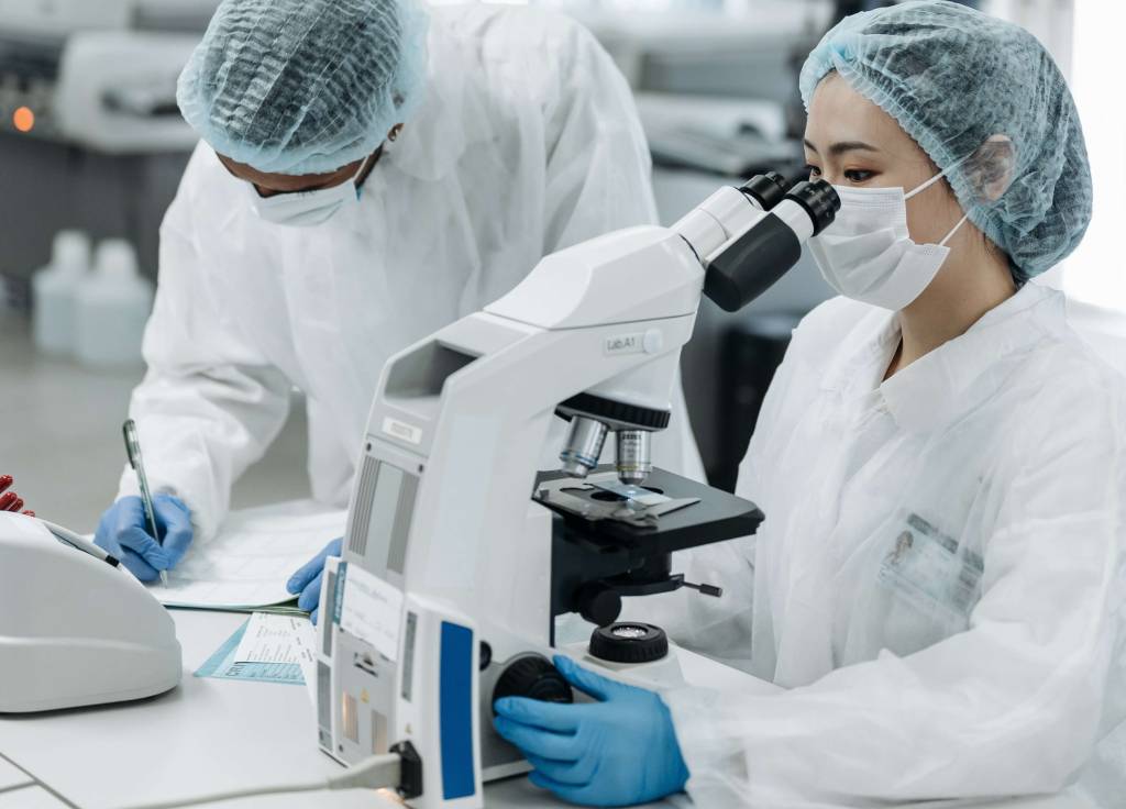 Cientistas criam embrião humano sintético, sem óvulo ou espermatozoide