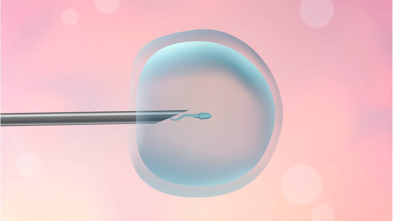 fertilização in vitro ilustração de ovulo e espermatozoide