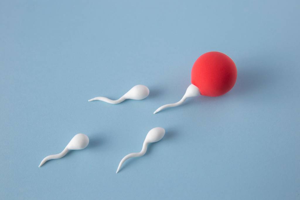 Qualidade dos óvulos: fatores que afetam a fertilidade feminina ao longo dos anos